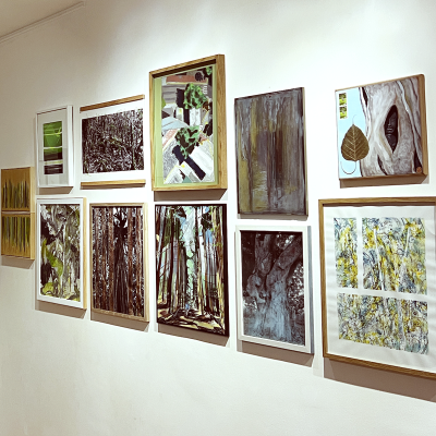 exposition,symbiose,arles