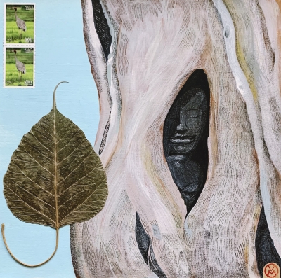 exposition,symbiose,arles
