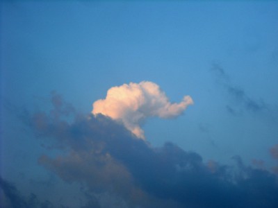 voyage sur un nuage,journey on a cloud,marc chagall,lecteurs,activités artistiques,arts plastiques,jeux